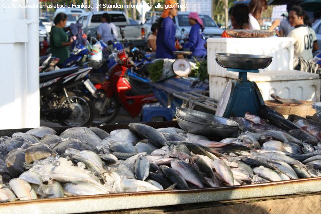 Basilikum Bl&auml;tter