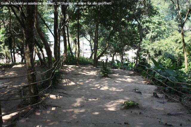 Chilli gross gr&uuml;n