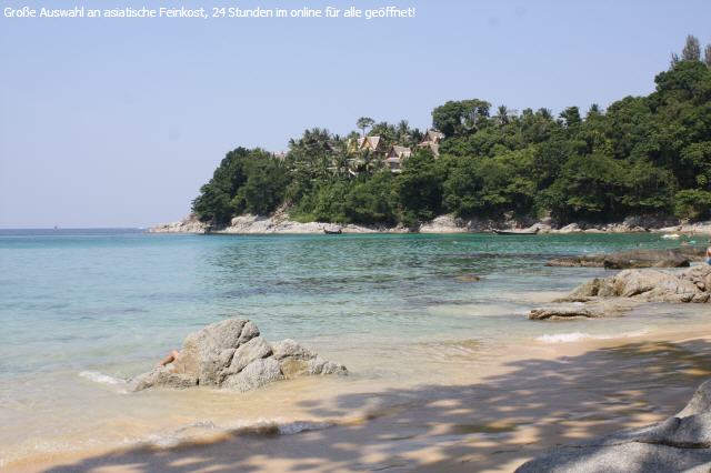 Chilli gr&uuml;n Bird