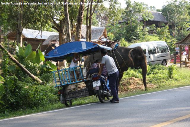 China Kohl gr&uuml;n