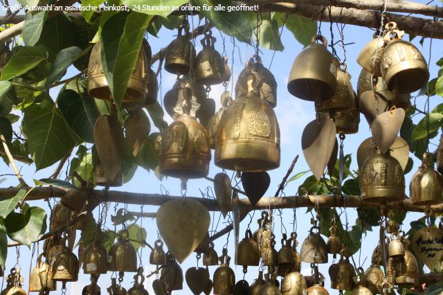 K&uuml;rbis Thai gross