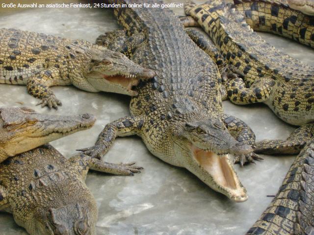 Schnittlauchbl&auml;tter