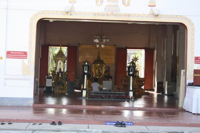 Star Apfel s&uuml;&szlig;